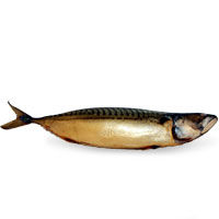 Spanish mackerel cold-smoked